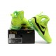 Dunkman LeBron 9 PS Elite vert noir