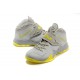 LEBRON ZOOM SOLDIER VII Volt Pure Platinum