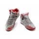 LeBron james 11 Elite argent rouge