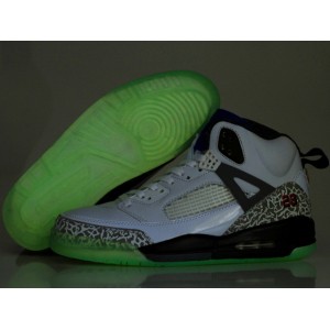 Nike Air Jordan Spizike lumiere blanc gris noir